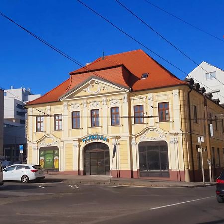 Old Town Cozy Studio In City Center 布拉迪斯拉发 外观 照片