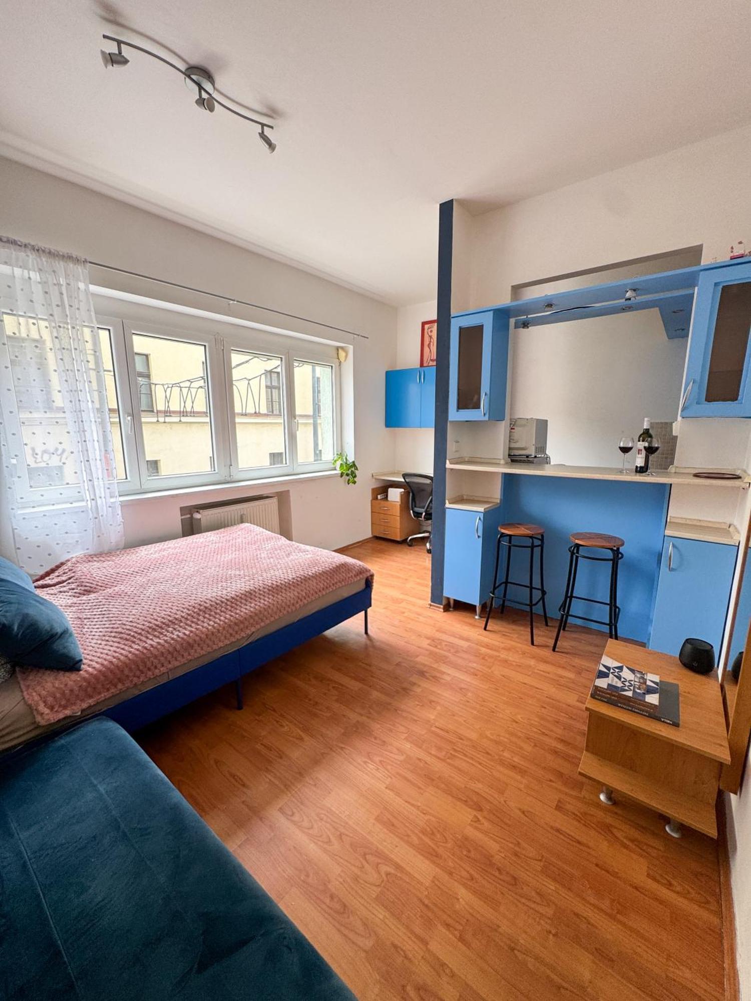 Old Town Cozy Studio In City Center 布拉迪斯拉发 外观 照片